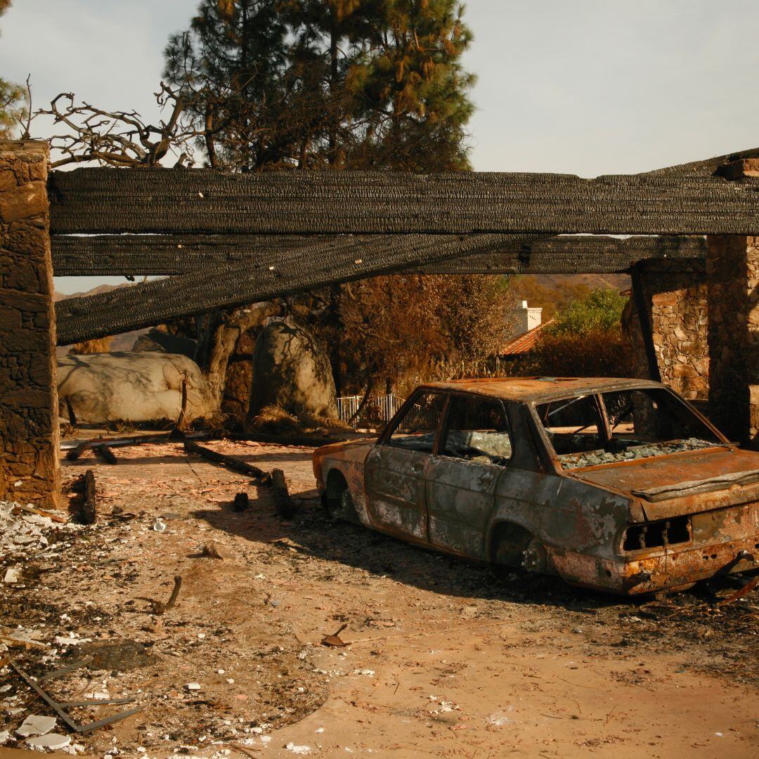 Rebuilding Resilience Post Wildfire Recovery Strategies For Urban Forests